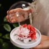 A beautiful handmade flower ceramic diffuser inside the transparent cover.