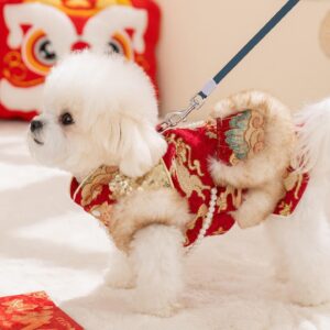 New Year Chinese Outfit For Dogs