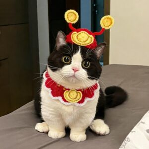 New Year God of Wealth set for cats