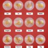 Buddha Stones Chinese Zodiac String